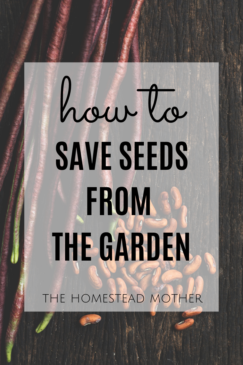 How To Save Seeds From The Garden To Plant Next Year | The Homestead Mother