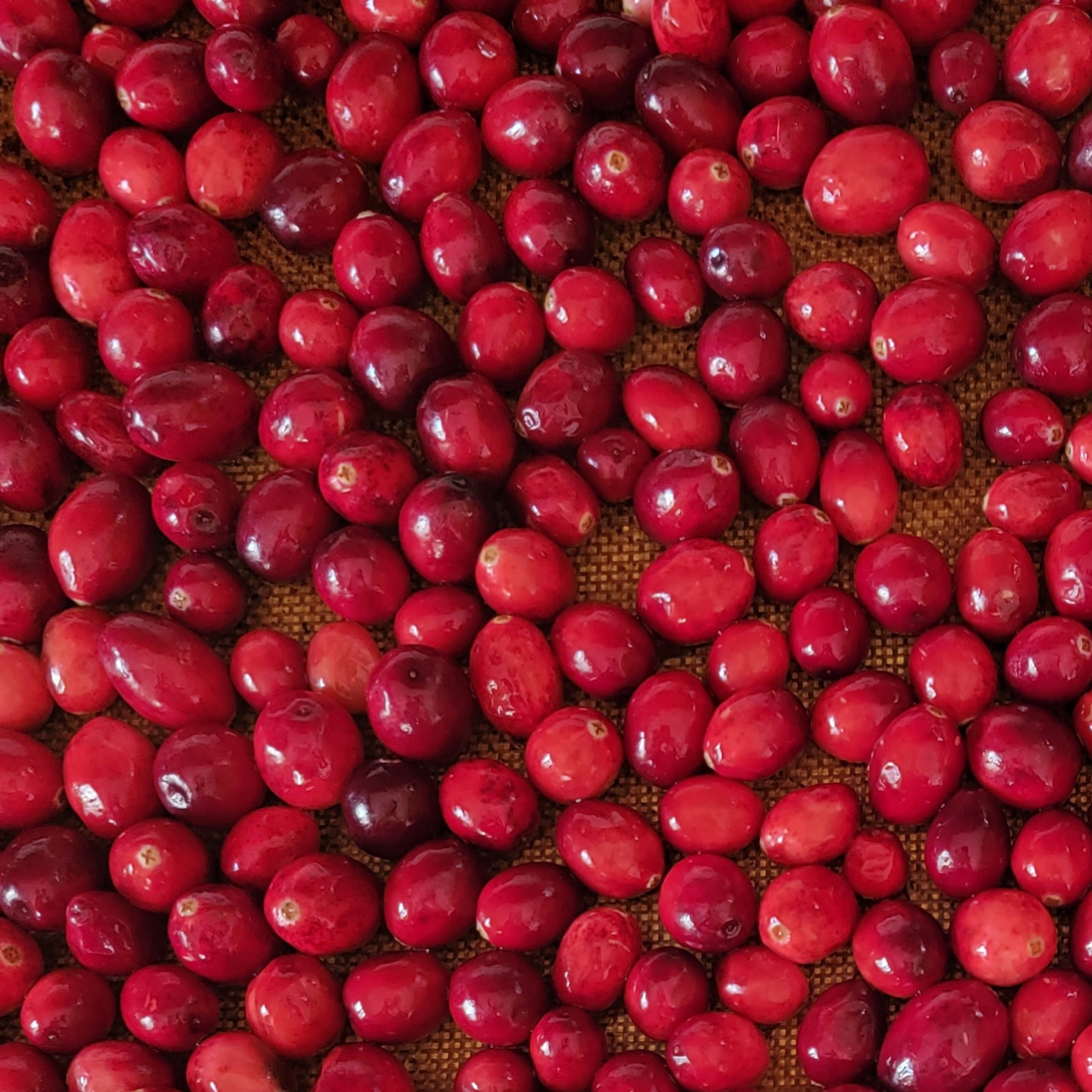 cranberries