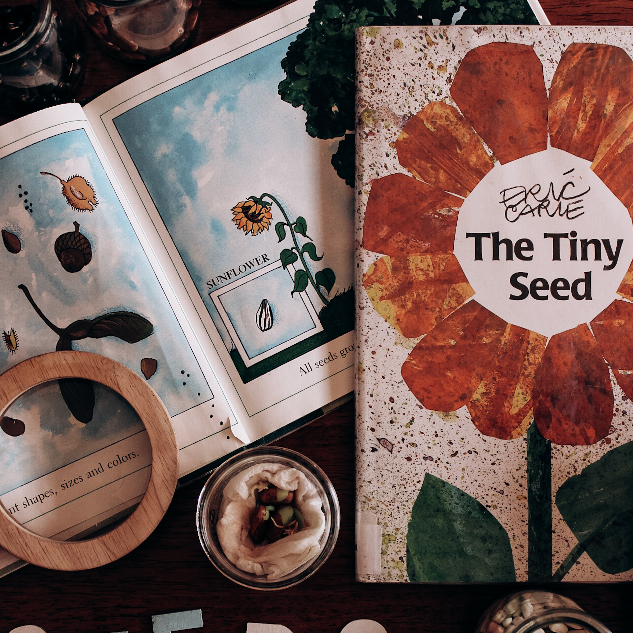 books about seeds