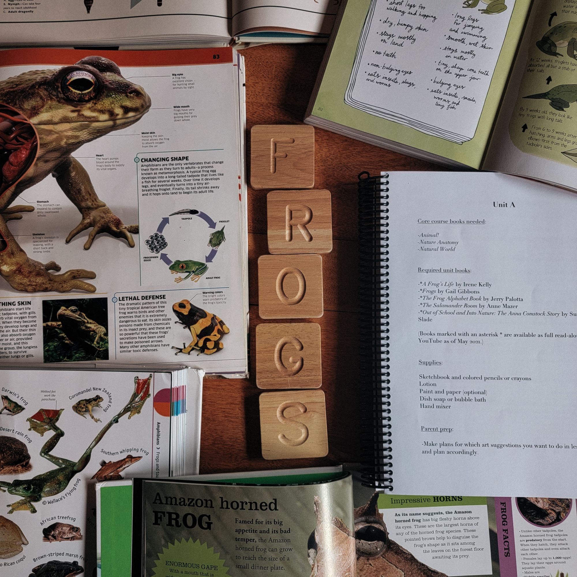 The organic studies curriculum laid out with books and activities